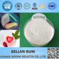 Free sample gellan gum almond milk